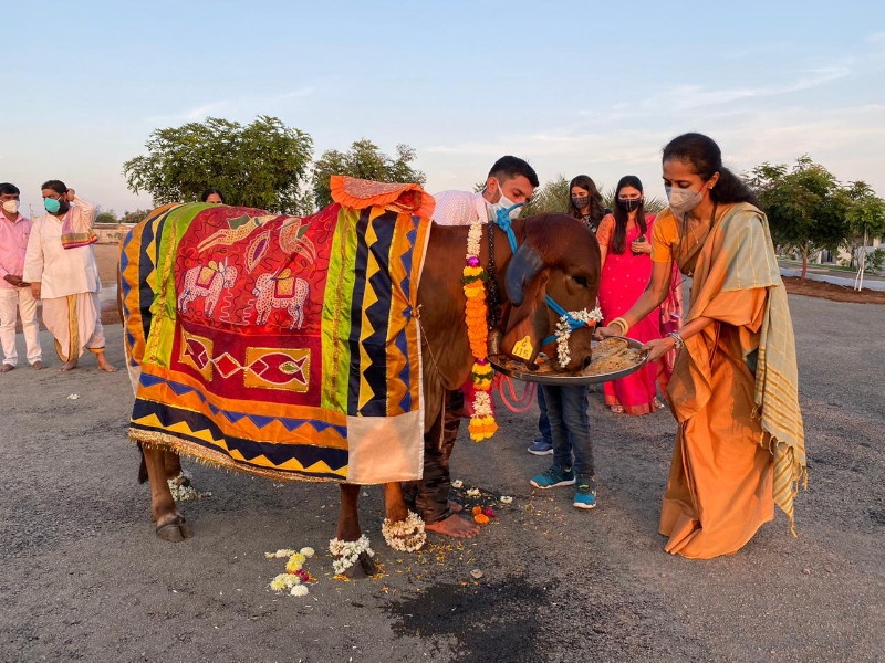 Pawar family's Diwali celebrations begin in Baramati; Worship of cows on the occasion of Vasubaras | बारामतीत पवार कुटुंबियांच्या दिवाळी सणाला सुरुवात; वसुबारस निमित्त केले गायींचे पूजन