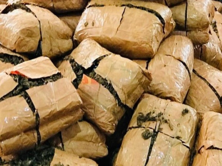 25 kg cannabis seized from youth in Pune | पवईतील कारवाईत पुण्याच्या तरुणाकडून २५ किलो गांजा जप्त