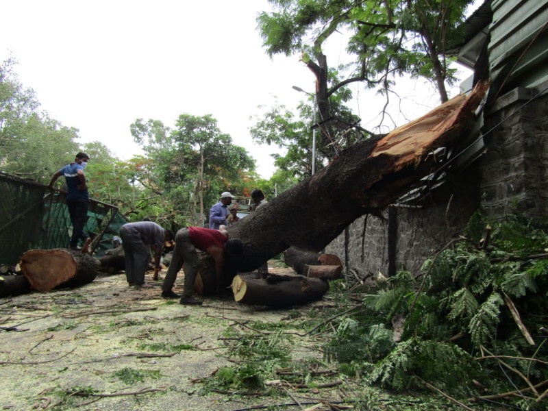 Cyclone Tautke caused great damage in Pune city, 40 trees fell due to strong winds | तौत्के चक्रीवादळाने पुणे शहरात मोठे नुकसान, वादळी वाऱ्याने ४० वृक्ष कोसळले
