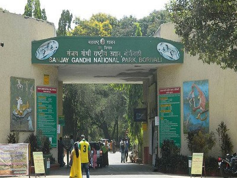 DNA testing of wildlife in Sanjay Gandhi Park; Maharashtra will be the first state in the country | संजय गांधी उद्यानातील वन्यप्राण्यांची डीएनए चाचणी; महाराष्ट्र ठरणार देशातील पहिले राज्य