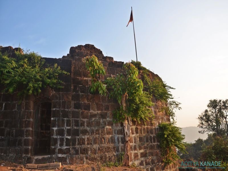  The one-day Ashwedha Ghodbunder Fort Festival in Thane | ठाण्यात रंगणार एकदिवसीय अश्वमेध घोडबंदर फोर्ट फेस्टीवल
