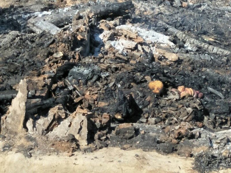 In Igatpuri taluka, a fire broke out in the house and the elderly died | इगतपुरी तालुक्यात घराला आग लागून वृद्धेचा होरपळून मृत्यू