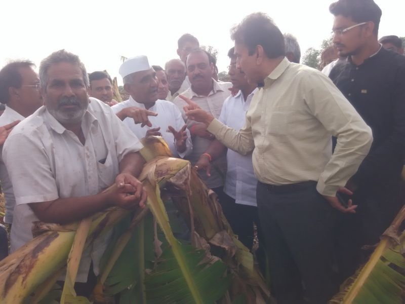 Banana will throw water from Minister of Water Resources Girish Mahajan in Jalgaon office | जलसंपदा मंत्री गिरीश महाजन यांच्या जळगावातील कार्यालयात केळी फेकणार