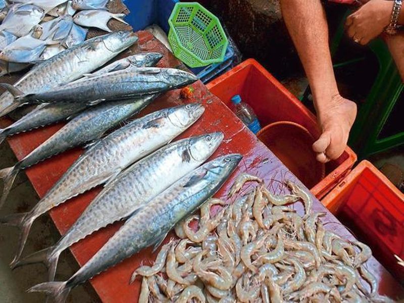 Formalin scare : Goa government lifts ban on import of fish from other states | Formalin scare : माशांची आयात थांबविण्याच्या मागणीला पुन्हा जोर