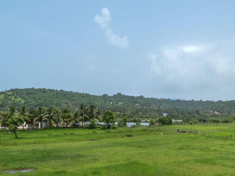 Relief for unauthorized construction of private land in Goa | गोव्यात खासगी जमिनींमधील अनधिकृत बांधकामांना दिलासा