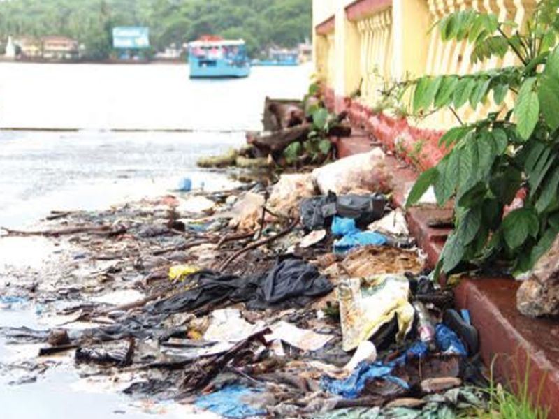 Pollution in Goa's rivers | गोव्याच्या नद्या दूषित का? 