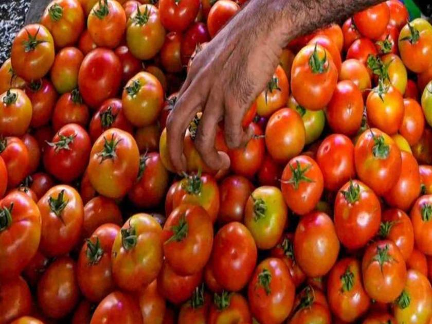 Tomatoes cheaper by Rs 10 in Goa state | गोव्यात वालपापडी २०० रुपये तर टोमॅटो १० रुपयांनी स्वस्त
