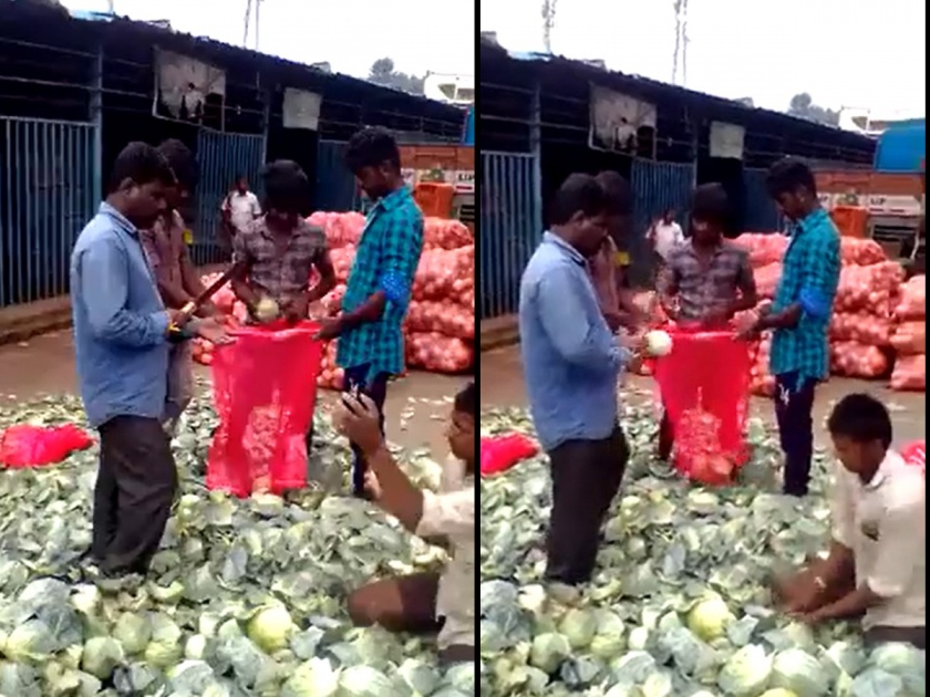 three men packing cabbage like robots video goes viral on social media | रोबोटलाही मागे टाकेल असा स्पीड, व्हिडिओ पाहुन लोक म्हणाले भारतात मशिनची गरजच काय?