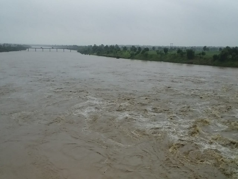Heavy rains in Umari taluka; 6 doors of Godavari Bandhara are opened | उमरी तालुक्यात मुसळधार पाऊस, गोदावरी नदीवरील बंधाऱ्याचे ६ दरवाजे उघडले 
