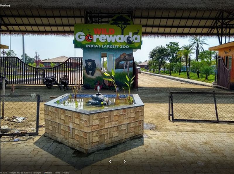 Load of Gorewada Zoo on 10 staff | गोरेवाडा प्राणिसंग्रहालयाचा भार १० कर्मचाऱ्यांवर