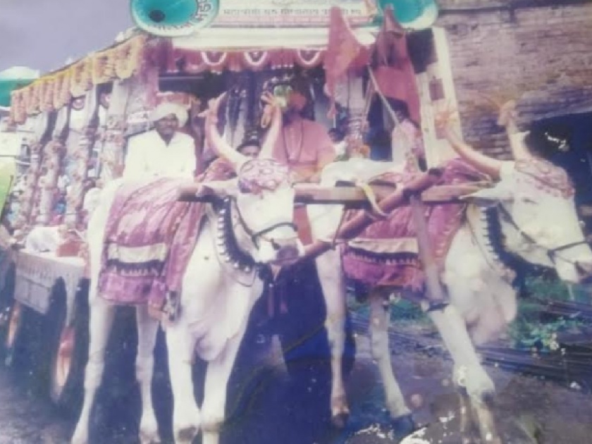 Gorakshnath Pai Dindi from Shirala in Sangli has had an uninterrupted journey for 41 years | सांगलीतील शिराळा येथील गोरक्षनाथ पायी दिंडीचा ४१ वर्षांपासून अखंडित प्रवास
