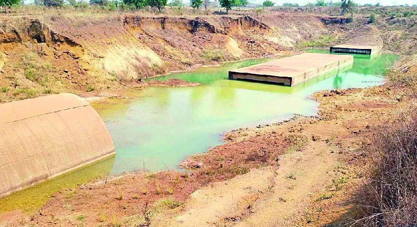 Farmers still do not benefit from Gosikhurd National Project: Canal works still pending | गोसेखुर्द राष्ट्रीय प्रकल्पाचा लाभ अजूनही शेतकऱ्यांना नाही; कालव्यांची कामे अजूनही प्रलंबित
