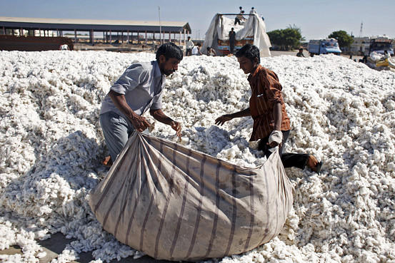  Government cotton buying is uncertain | शासकीय कापूस खरेदी अनिश्चित