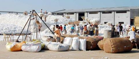Government Cotton Purchase not responce from farmers | हंगामाच्या अखेरीसही शासकीय कापूस खरेदी निरंक