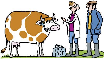 Government veterinary doctors show that the road of private medical | सरकारी पशुवैद्यकीय डॉक्टर दाखवतात खासगी मेडिकलचा रस्ता