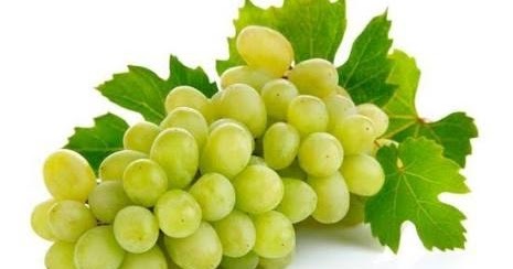The state exported 5,000 metric tonnes more grapes this year than last year | राज्यात मागील वर्षीपेक्षा यंदा द्राक्षाची पाच हजार मेट्रिक टन अधिक निर्यात