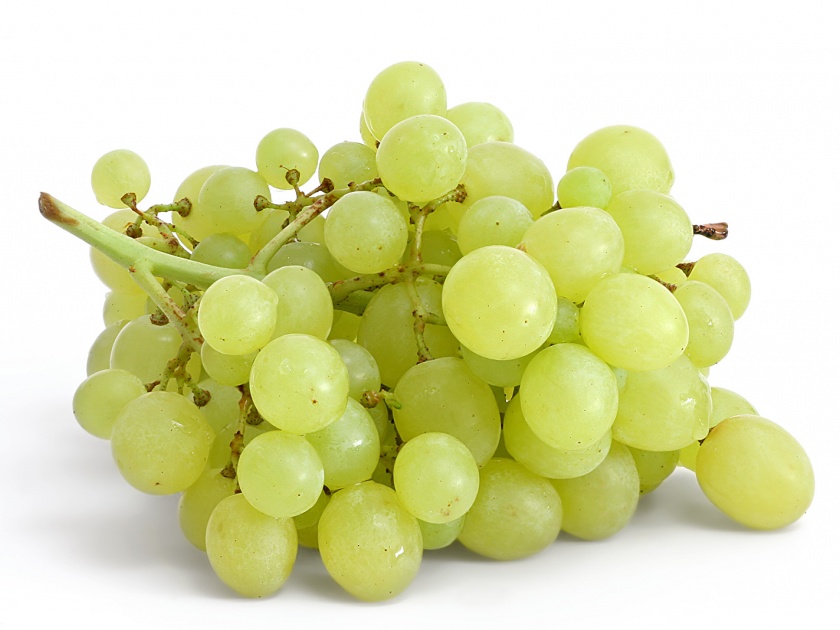 Appeal to register exportable vineyards | नियार्तक्षम द्राक्षबागांची नोंदणी करण्याचे आवाहन