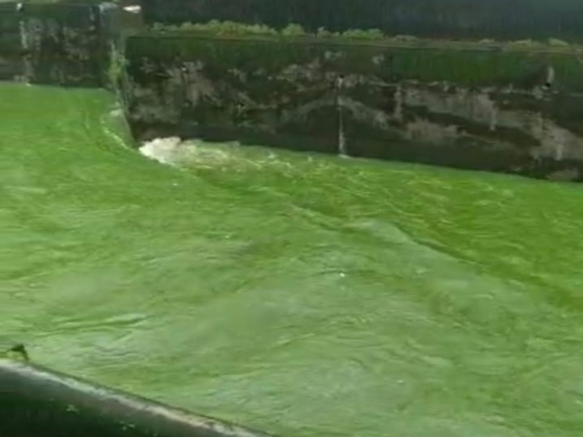 flooded with muddy water; But in Dombivali, green water started flowing from the nala | Green Water in Dombivali: आश्चर्यचकित व्हाल! चोहोबाजुला पावसाचे गढुळ पाणी तुंबले; पण डोंबिवलीत नाल्यातून हिरवे पाणी वाहू लागले