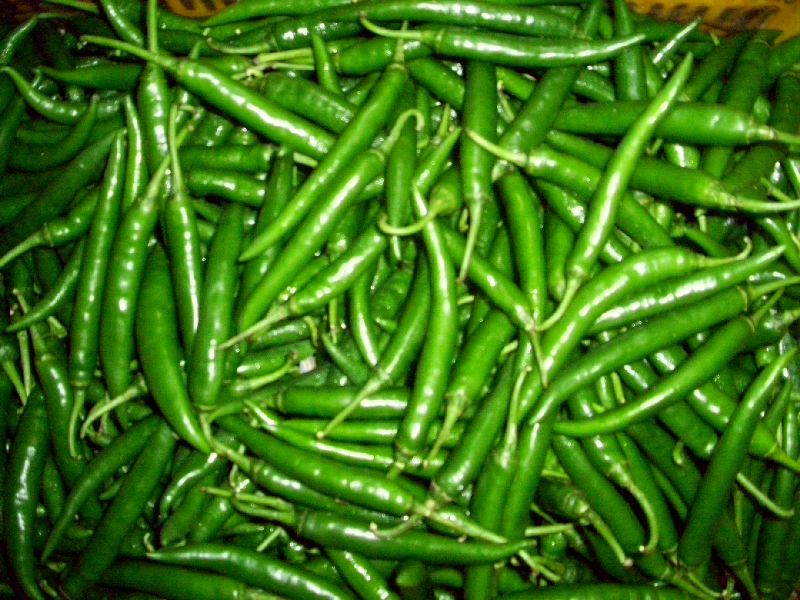 Chilli 30 to 40 bucks, black pepper chillies increase | मिरची 30 ते 40 रुपये किलो, काळ्यापाठीच्या मिरचीच्या दरात वाढ