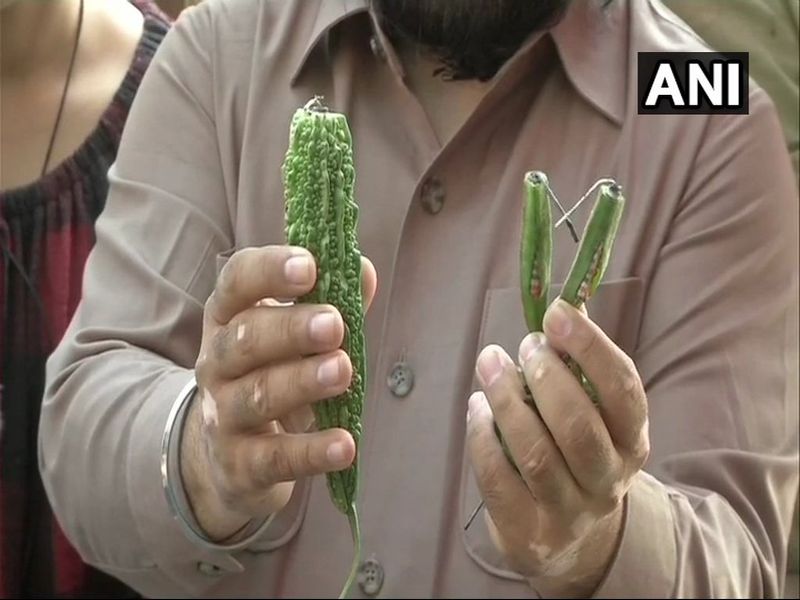 Delhi traders invent own green crackers by stuffing fireworks into green veggies | ...म्हणून दिल्लीतील व्यापाऱ्यांनी फोडले भाजीफटाके!