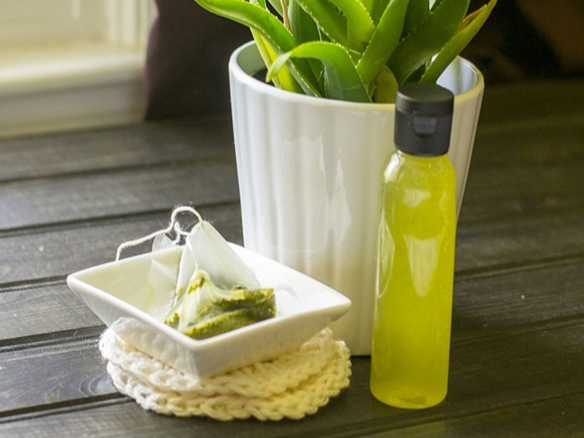 Beauty tips How to make green tea mist | कोरडी, निस्तेज त्वचा तजेलदार करतं Green Tea Mist; असं करा तयार