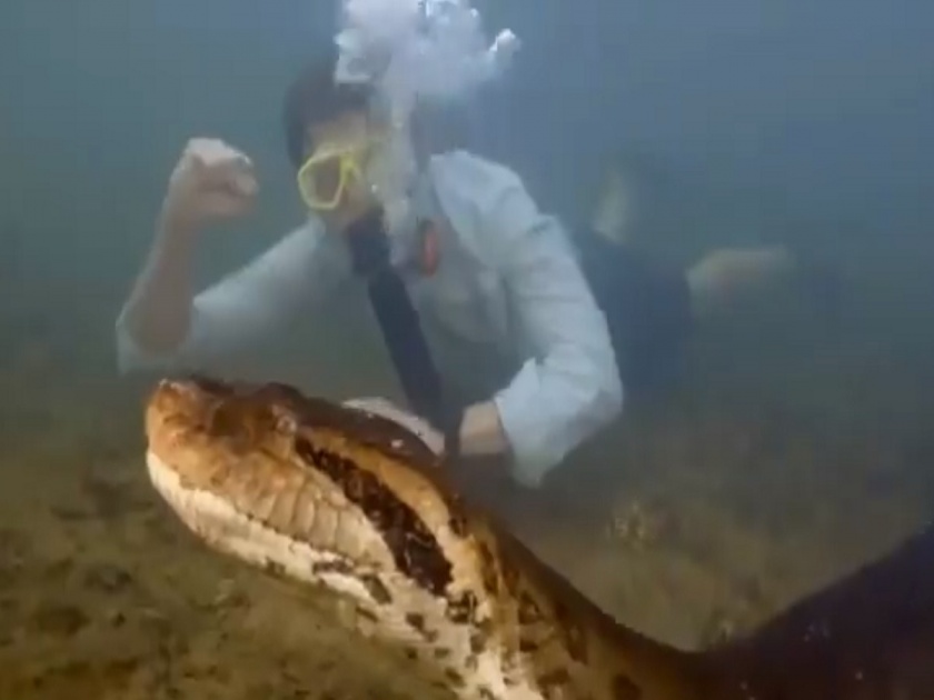 Green Anaconda Viral Video: Scientists Discover World's Largest Anaconda Snake | शास्त्रज्ञांनी शोधला जगातील सर्वात मोठा Anaconda साप, व्हिडिओ पाहून थक्क व्हाल...