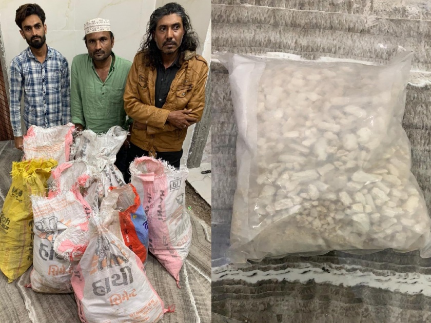 Drugs News| Gujarat ATS nabbed around 120 kg drugs worth RS 600 crores in Morabi District | गुजरात ATS ची मोठी कारवाई, 600 कोटी रुपयांचे ड्रग्ज जप्त; पाकिस्तानशी थेट कनेक्शन