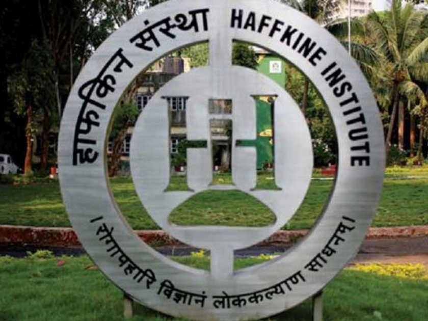 Five projects worth Rs 1,100 crore to be implemented by Haffkine | हाफकिनमार्फत राबविणार ११०० कोटींचे पाच प्रकल्प