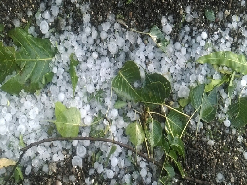 Be careful! In the next 48 hours in Vidarbha, Marathwada hailstorm | सावधान ! येत्या 48 तासात विदर्भ, मराठवाड्यात गारपीटीचा अंदाज