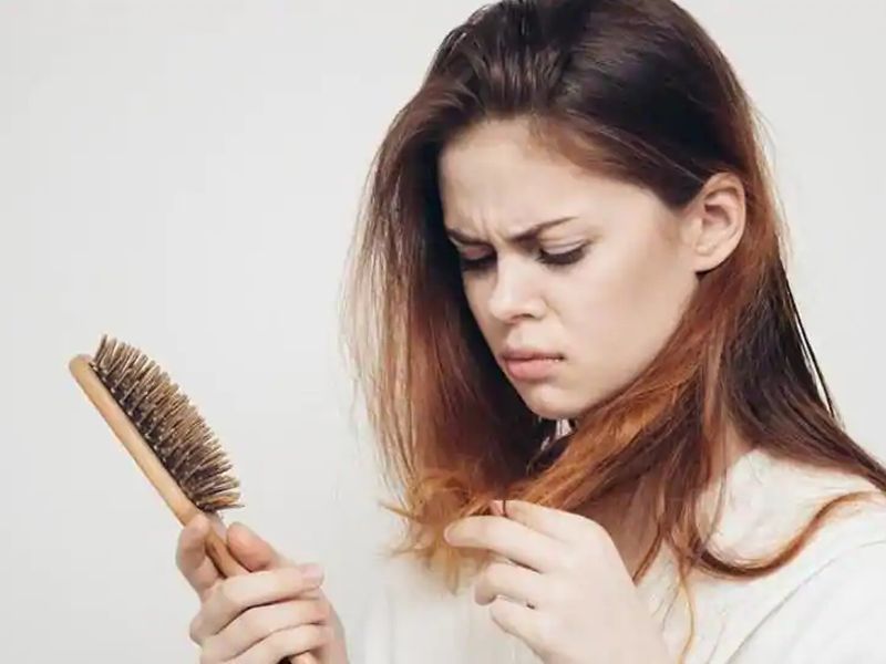5 amazing herbs for hair growth in winter | थंडीच्या दिवसात केसगळतीने हैराण आहात? करा हे ५ घरगुती उपाय