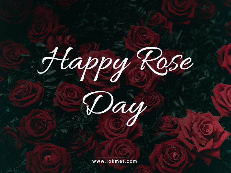 ValentineDay2018: various roses and their importance on occassion of Rose Day | ValentineDay2018 : गुलाबाच्या वेगवेगळ्या रंगांची काय असतात वैशिष्ट्ये, विचार करुन द्या आवडत्या व्यक्तीला गुलाब