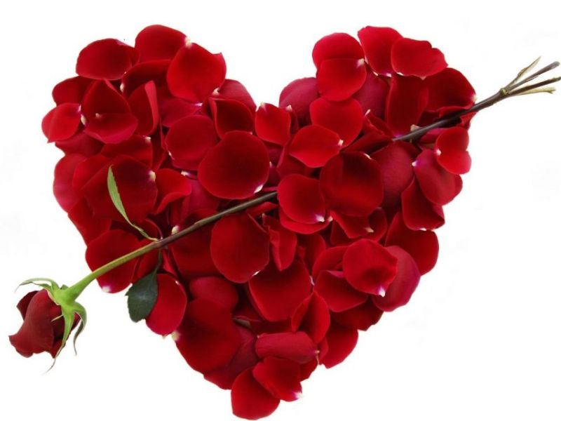 From Roses Day to Valentine's Day, Learn How Valentine's Week | रोझ डेपासून व्हॅलेंटाईन्स डेपर्यंत, जाणून घ्या कसा असतो Valentine's Week