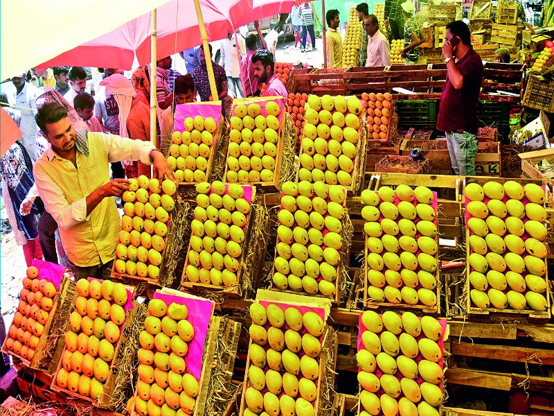 'Ratnagiri' hapus mango will be test on Karnataka hapus On the auspicious occasion of 'Akshay tritiya | अक्षयतृतीयाच्या मुहूर्तावर ‘रत्नागिरी’ची चव ‘कर्नाटक’वर भागवणार
