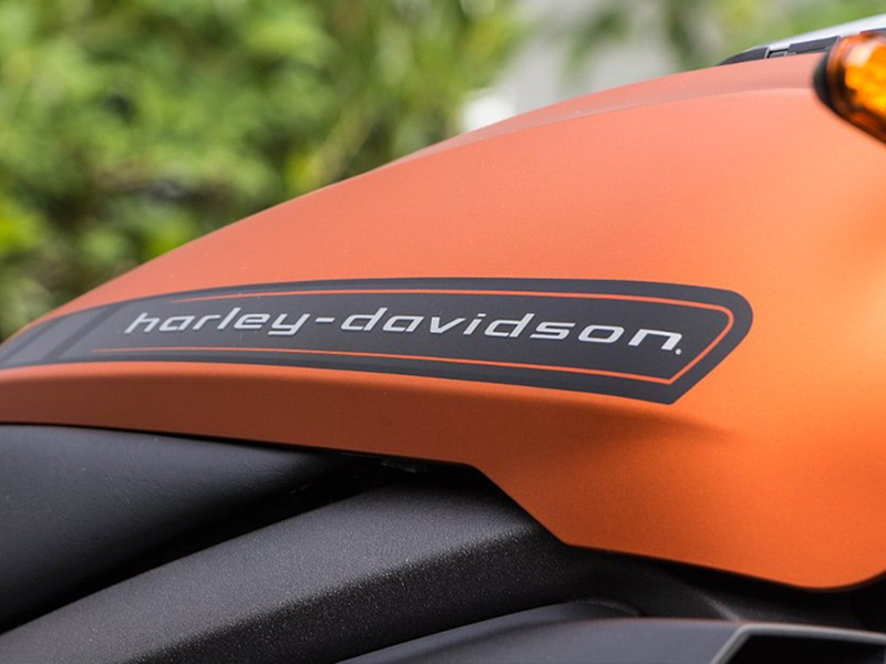 Harley-Davidson's electric bike LiveWire unveiled in india | Harley-Davidsonची इलेक्ट्रिक बाईक आली; स्पीड अन् किंमत 'लई भारी'