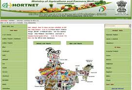 2.73 lakh farmers in the state on 'Hortnet'! | राज्यातील २.७३ लाख शेतकरी ‘हॉर्टनेट’वर!