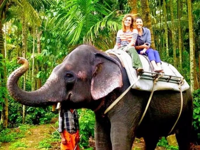 Indias top 5 places famous for elephant ride | उन्हाळ्याच्या सुट्टीत मुलांसोबत या 5 ठिकाणांना आवर्जून भेट दया!