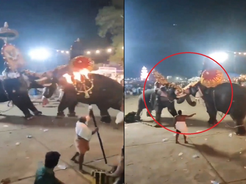 video: clash between two elephants in kerala temple, panic among devotees | video: अचानक हत्ती बिथरले, एकमेकांना भिडले; मंदिरात प्रचंड गोंधळ, भाविकांमध्ये घबराट