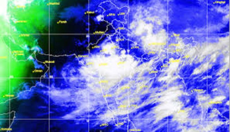 Due to changing weather, losses in Solapur district have increased | बदलत्या हवामानामुळे सोलापूर जिल्ह्यातील नुकसान वाढले