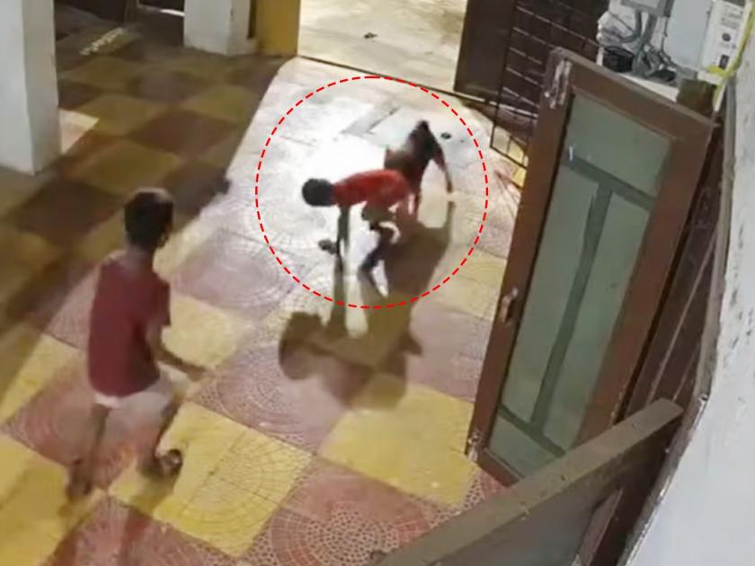 Haydrabad 5 years old boy injured instreet dog aattack outside video goes viral on social media | हैदराबादमध्ये ५ वर्षाच्या चिमुकल्यावर भटक्या कुत्र्याचा हल्ला; थरारक घटनेचा व्हिडीओ 'CCTV' मध्ये कैद 