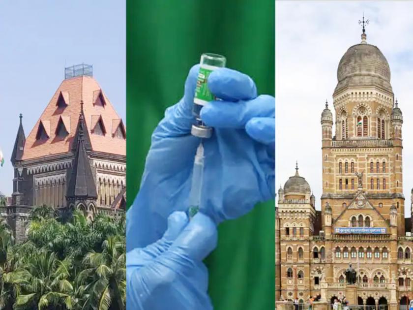 mumbai high court slams bmc and centre govt over corona vaccination | Corona Vaccine: मुंबई महानगरपालिकेच्या भूमिकेनं आमची घोर निराशा; हायकोर्टानं चांगलंच सुनावलं