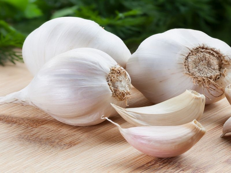 Do You Know These Health Benefits of Garlic? | लसणाचे हे आरोग्यदायी फायदे तुम्हाला माहीत आहेत का?