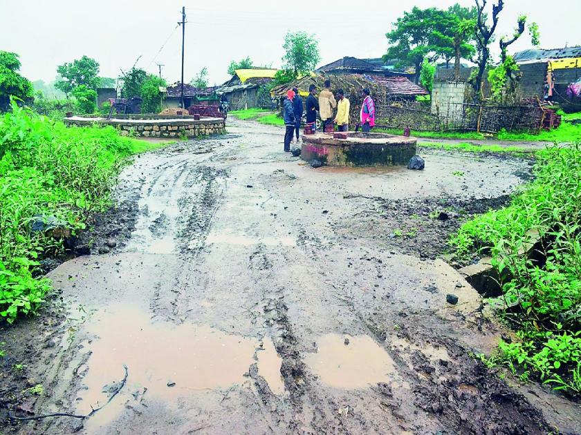 diarrhea outbreak in Naya Akola near Amravati, death of a youth | अमरावती नजीकच्या नया अकोला येथे अतिसाराची लागण, एका युवकाचा मृत्यू