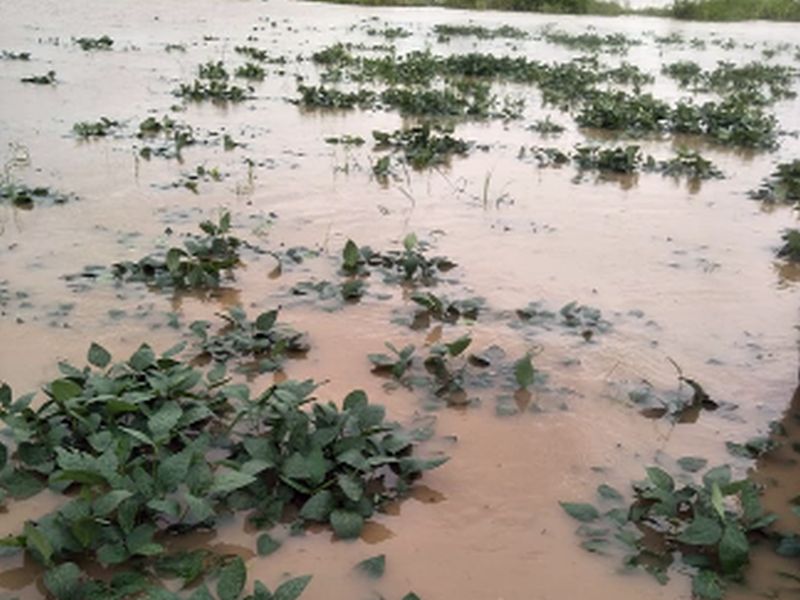 heavy rain in Marathawada | मराठवाड्यातील १६४ मंडळांत अतिवृष्टी