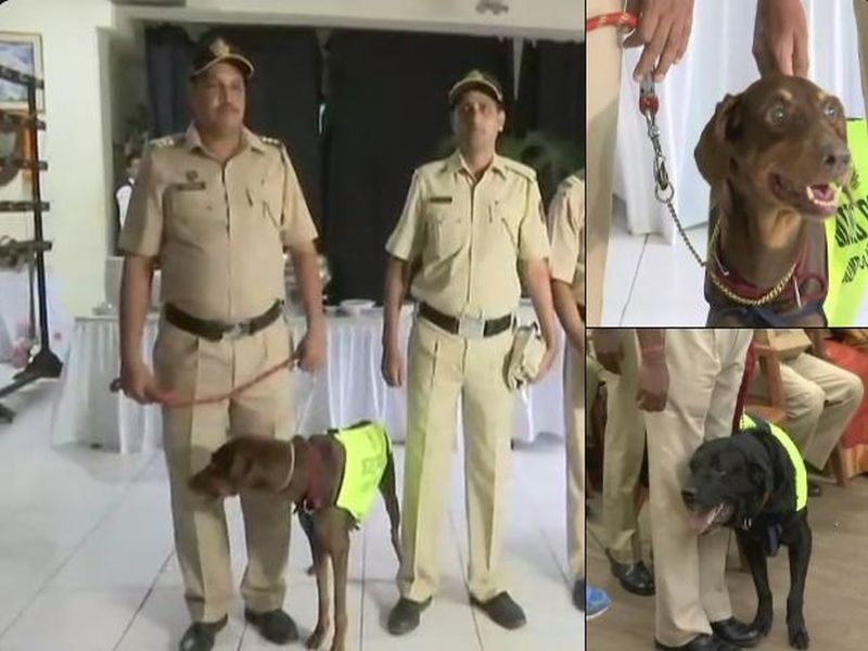 Mumbai police's 'Heena' and 'Wiki' retired today | मुंबई पोलिसांची 'हीना' अन् 'विकी' आज झाले सेवानिवृत्त 