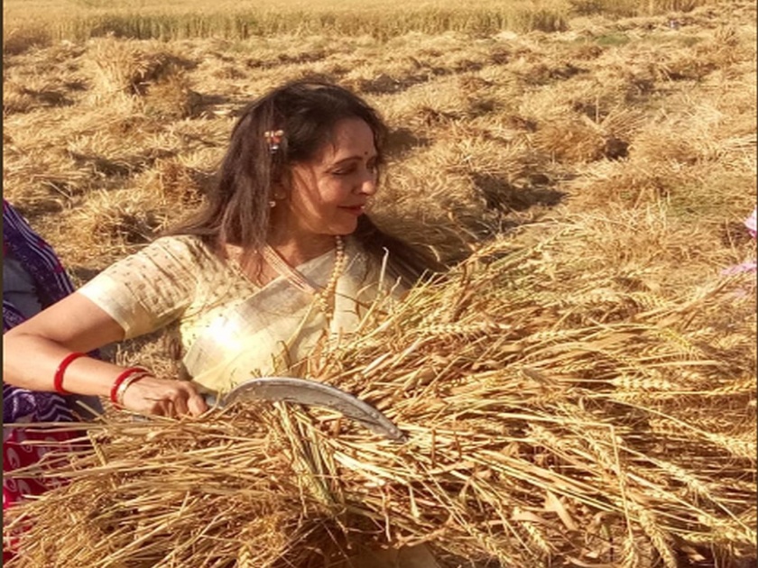 Sickle In Hand, Hema Malini Starts Campaign From A Farm In Mathura | हेमा मालिनींचा असाही प्रचार, सोशल मीडियात फोटो व्हायरल