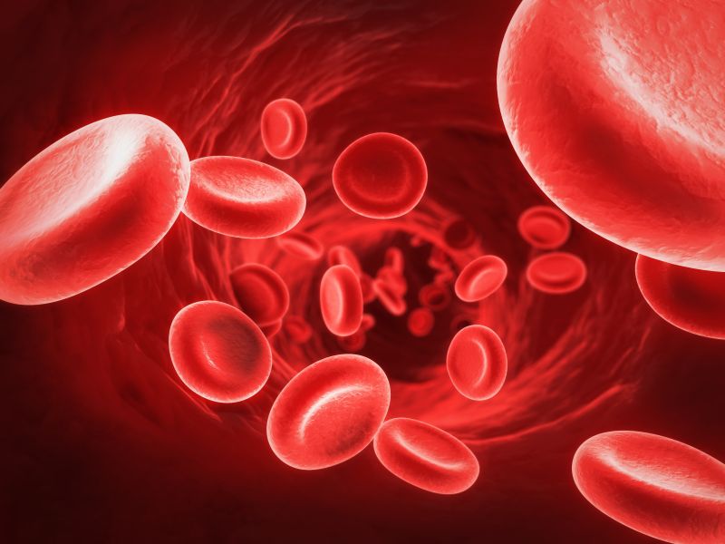Hemoglobin deficiency in human body or pregnancy know the symptoms and reasons | 'ही' आहेत रक्त कमी होण्याची कारणं आणि लक्षणं!