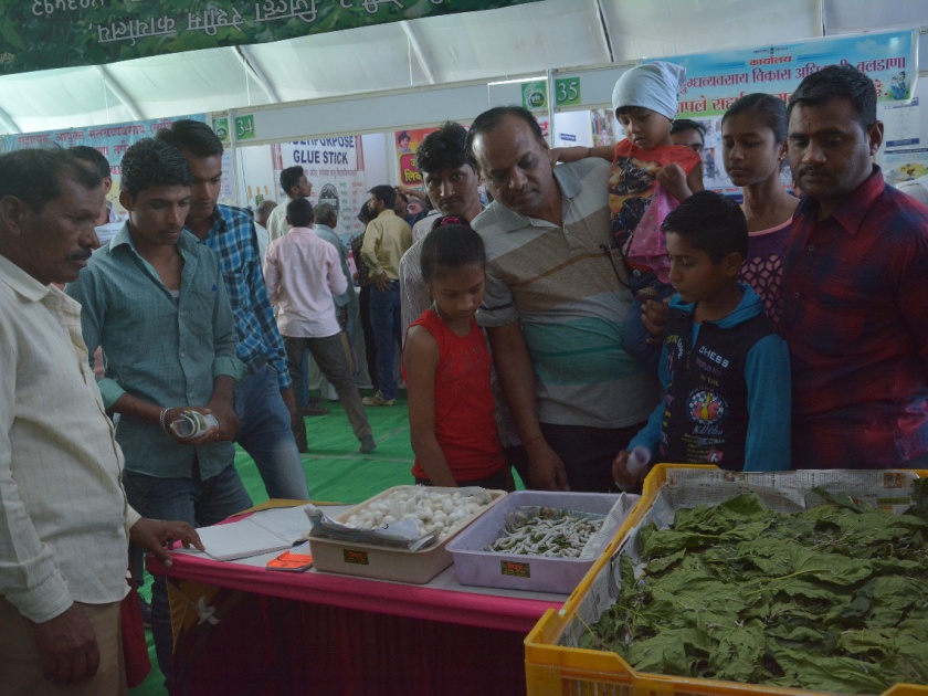 # Khamgaon Krishi Mahotsav: Khamgaonkar keen to know herbal remedies! | #खामगाव कृषि महोत्सव : आरोग्यवर्धक वनौषधींविषयी खामगावकरांना कुतूहल!