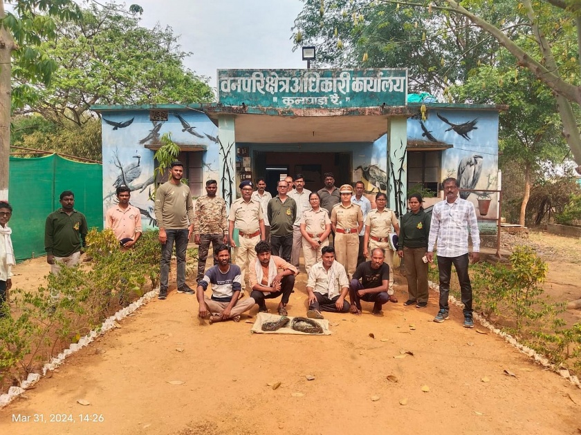 Forest department action against arrestees who hunt chital and cook meat in forest area | चितळाची शिकार... वन विभागाने आराेपींना घरून उचलले; कुनघाडा रै. वन परिक्षेत्रातील घटना