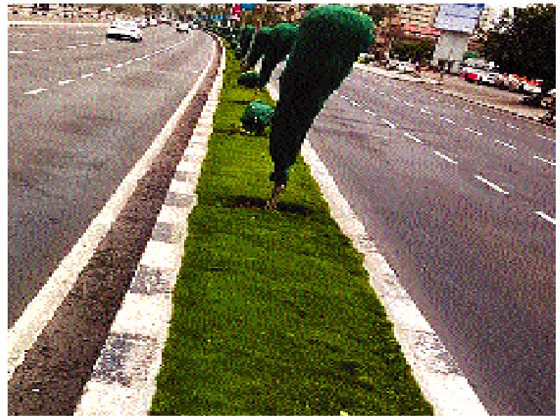 Saves the plants in Mumbai, the green mesh | मुंबईतल्या रोपट्यांना वाचवतेय हिरवी जाळी