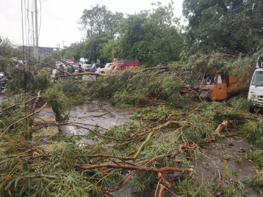 Bad weather lashed the area including Hingoli town Trees were uprooted in the storm, power lines were also broken | हिंगोली शहरासह परिसराला अवकाळीचा तडाखा; वादळवाऱ्यांत झाडे उन्मळून पडली, वीज वाहिन्याही तुटल्या